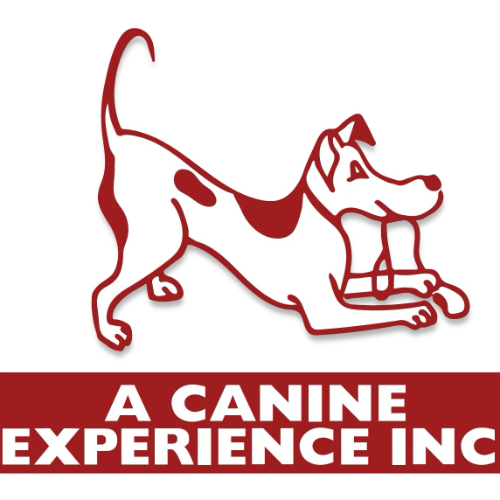 A Canine Experience Inc.