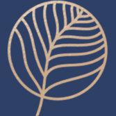 Origins Plastic Surgery