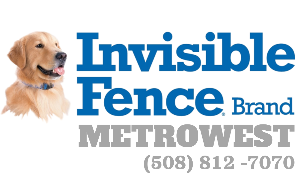 Invisible Fence of Metrowest