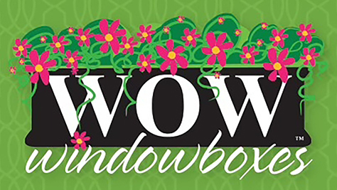 Wow Window Boxes