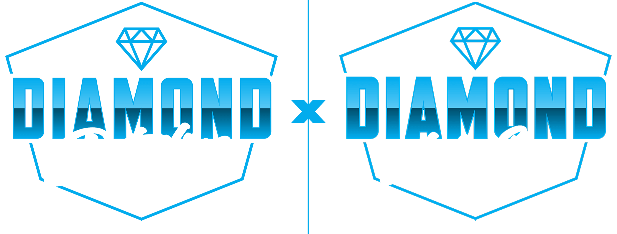 Diamond Detailing of North Florida