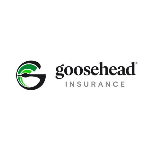Goosehead Insurance Derek Burr - STL