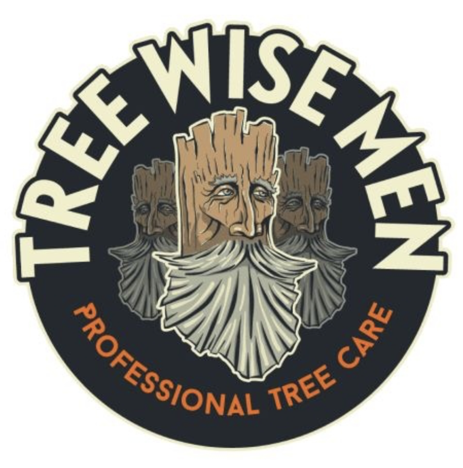 Tree Wise Men