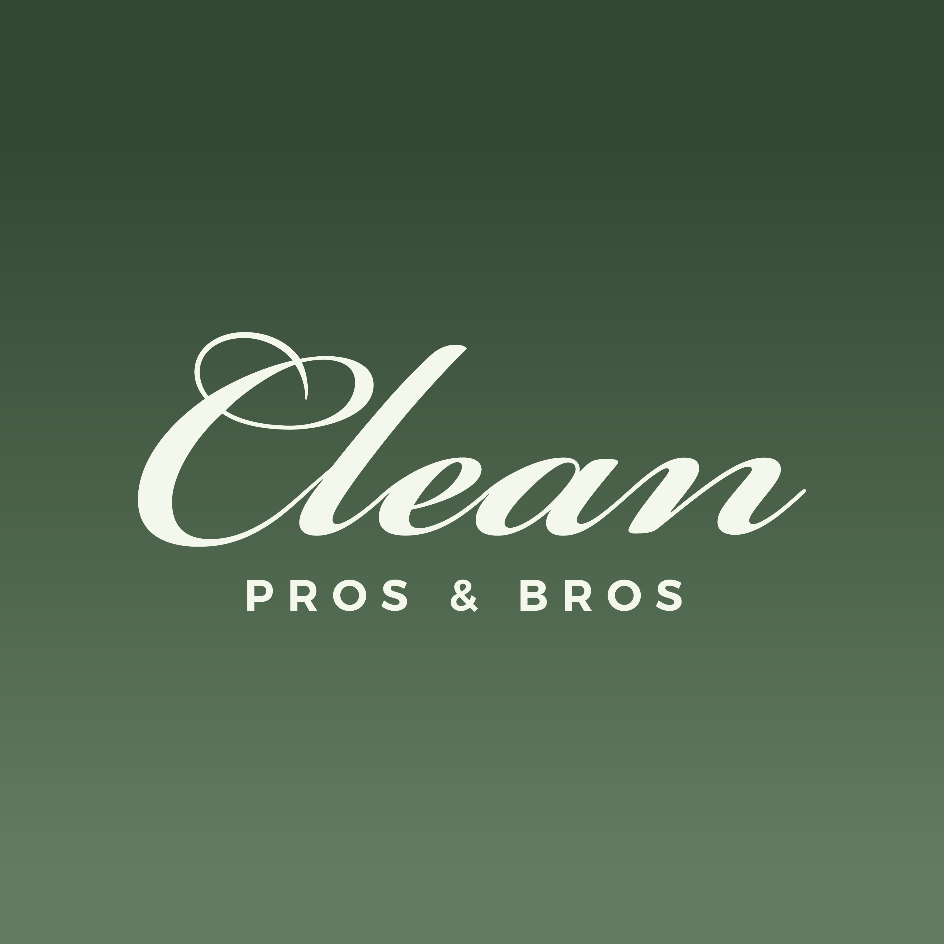 Clean Pros & Bros