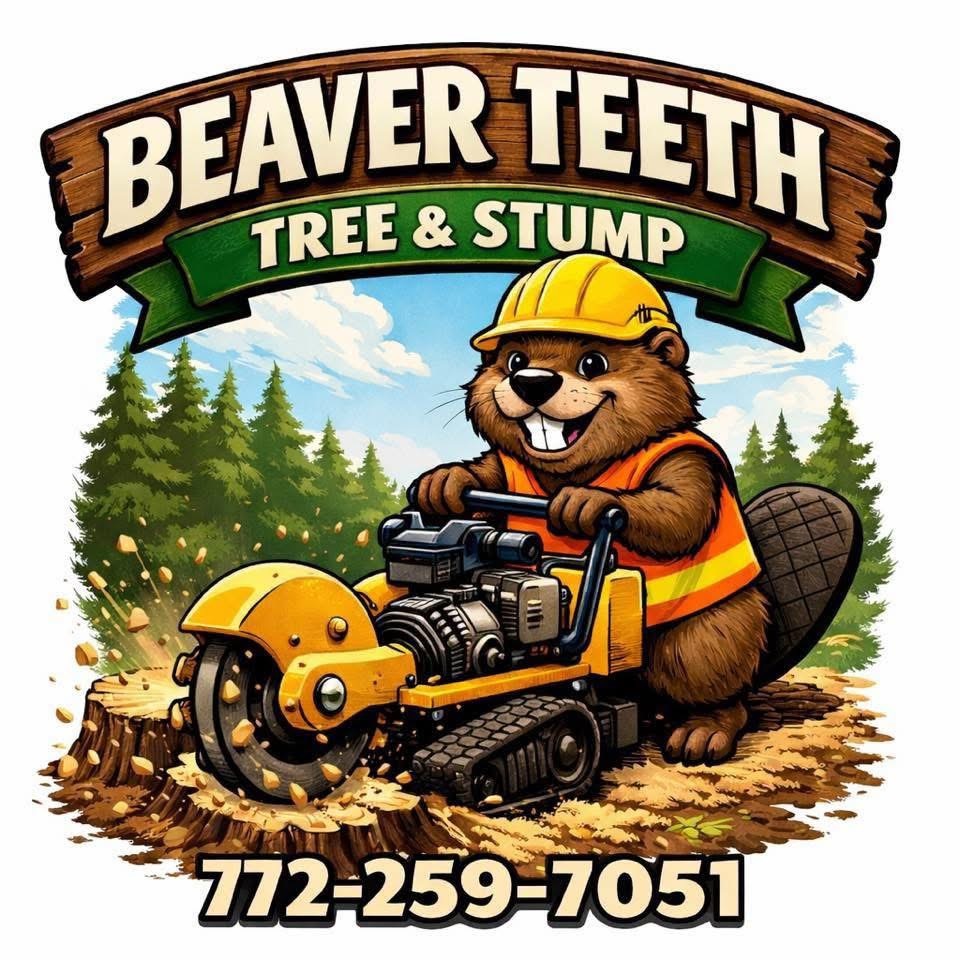 Beaver Teeth Tree and Stump