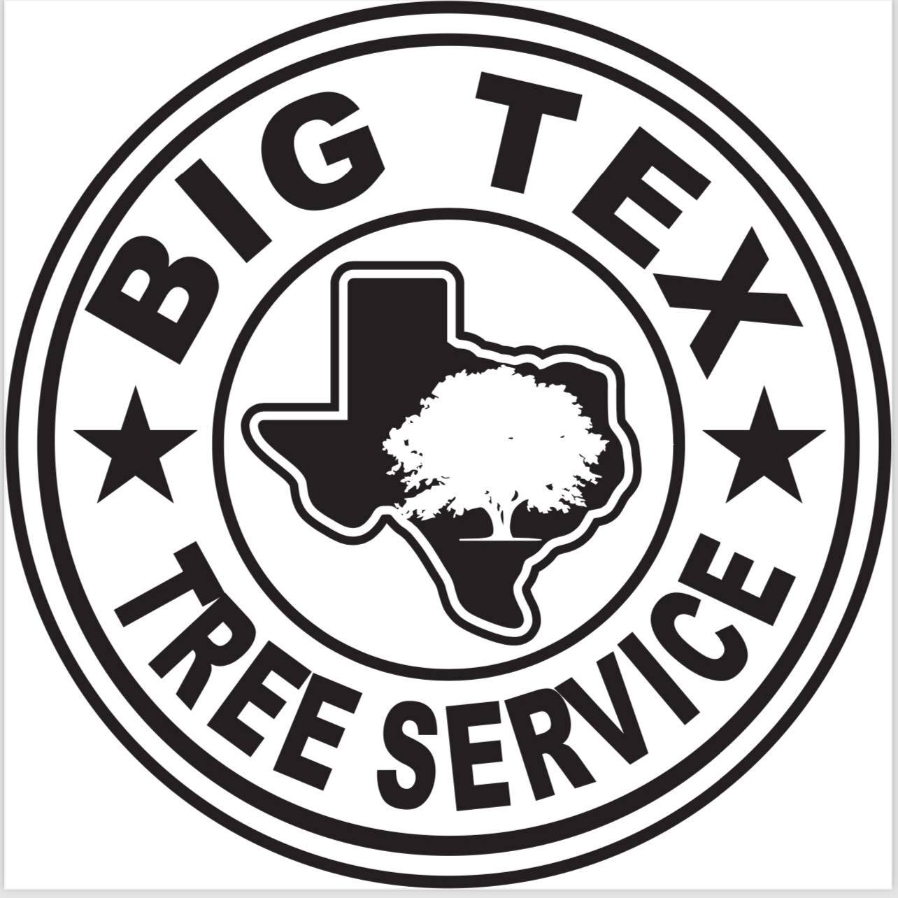 Big Tex Tree Service & Landscaping