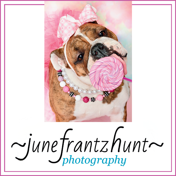 June Frantz Hunt Photography