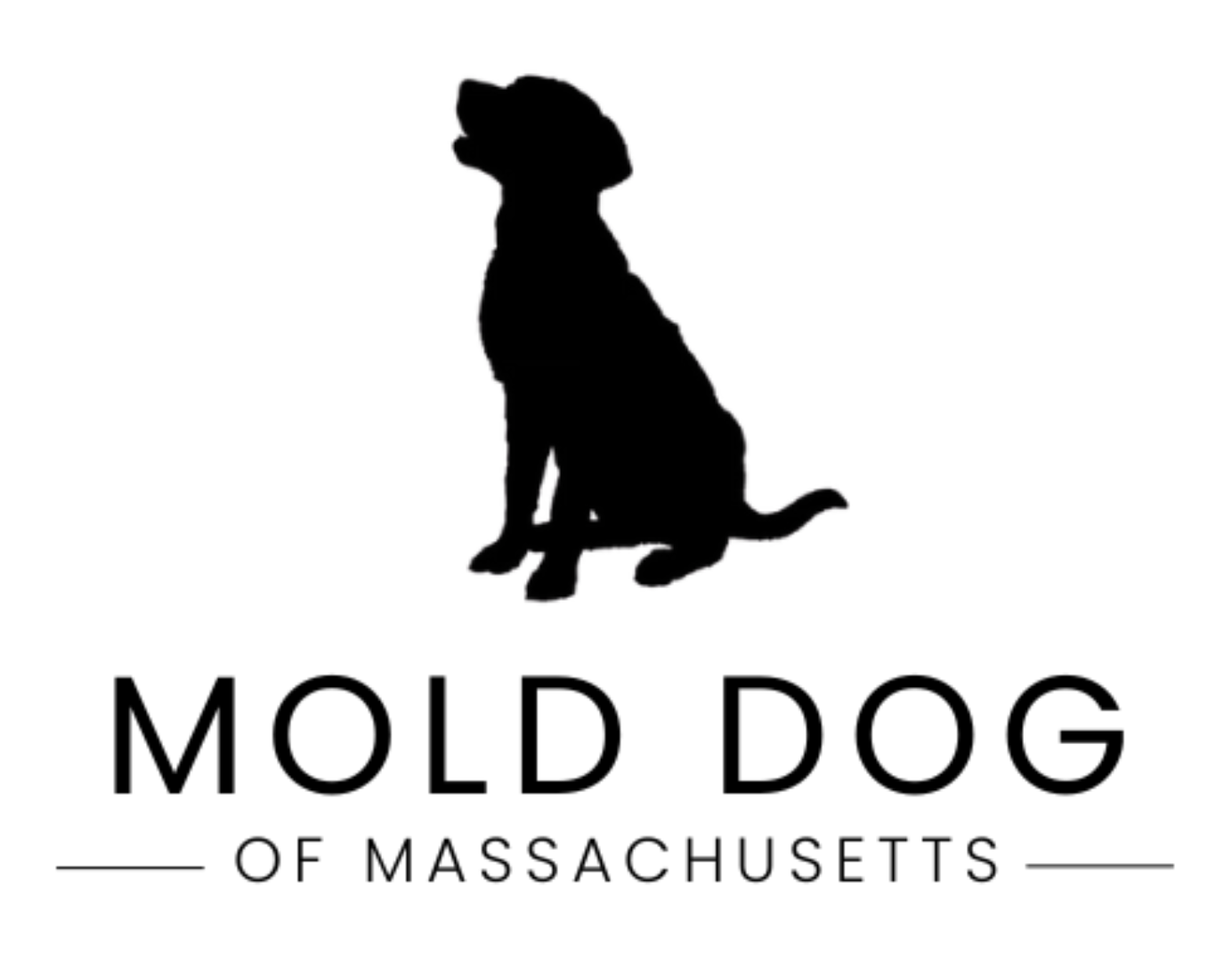 Mold Dog of Massachussetts