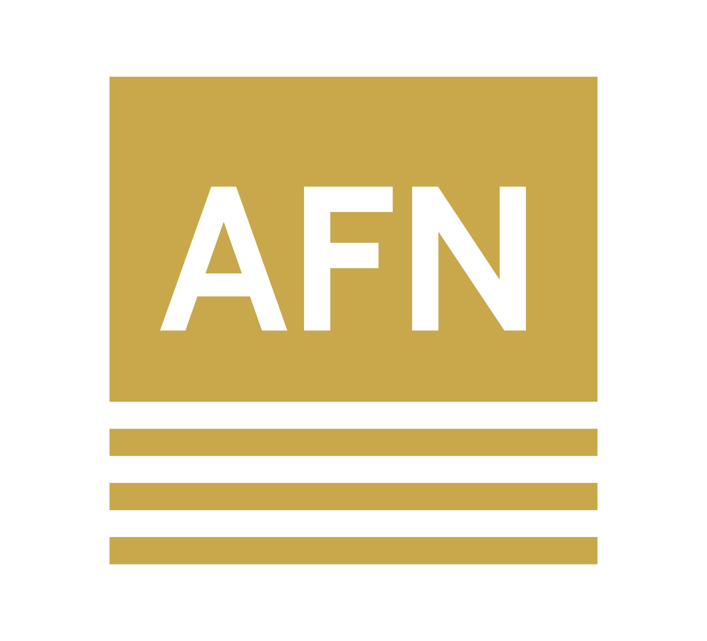 American Financial Network