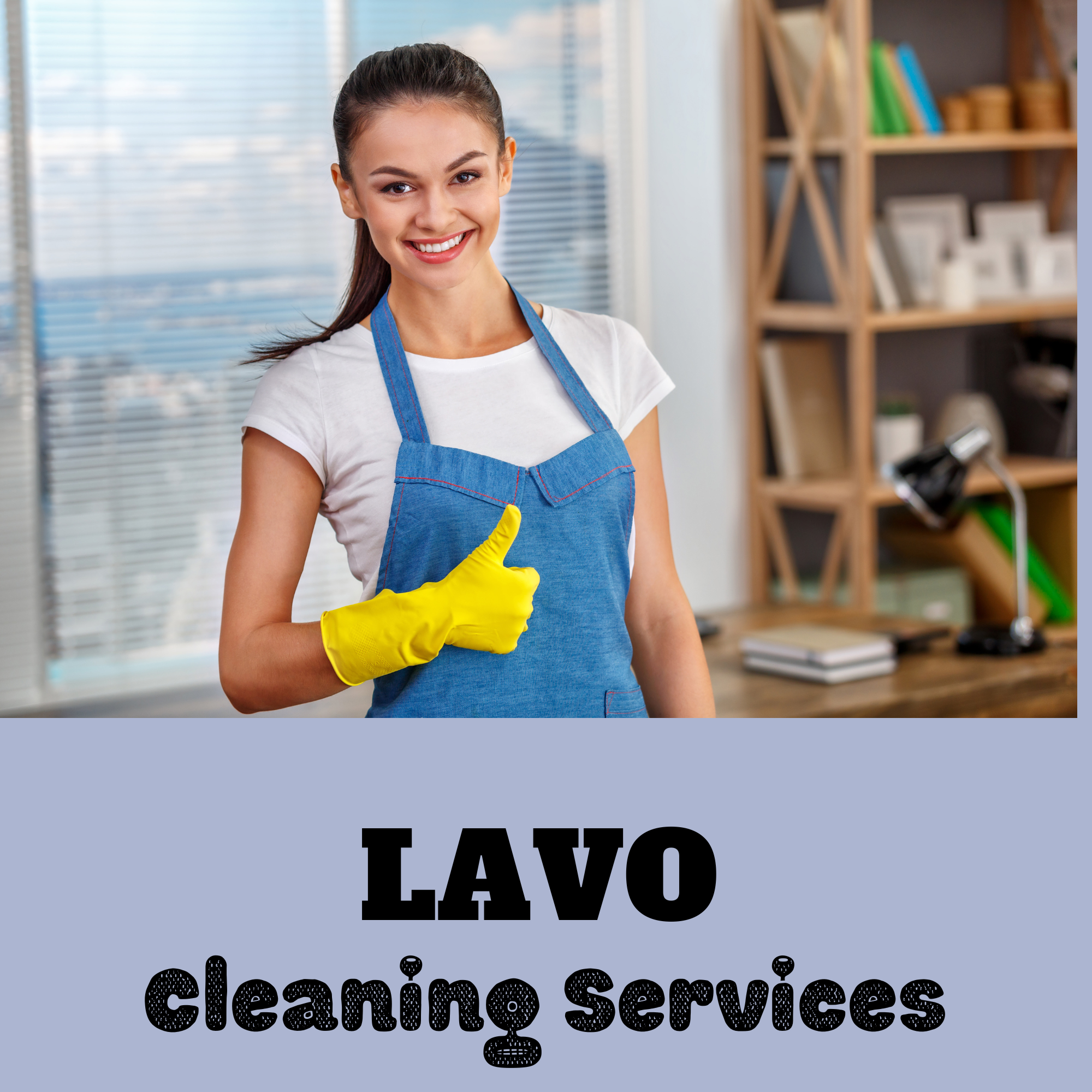 LAVO Cleaning Services
