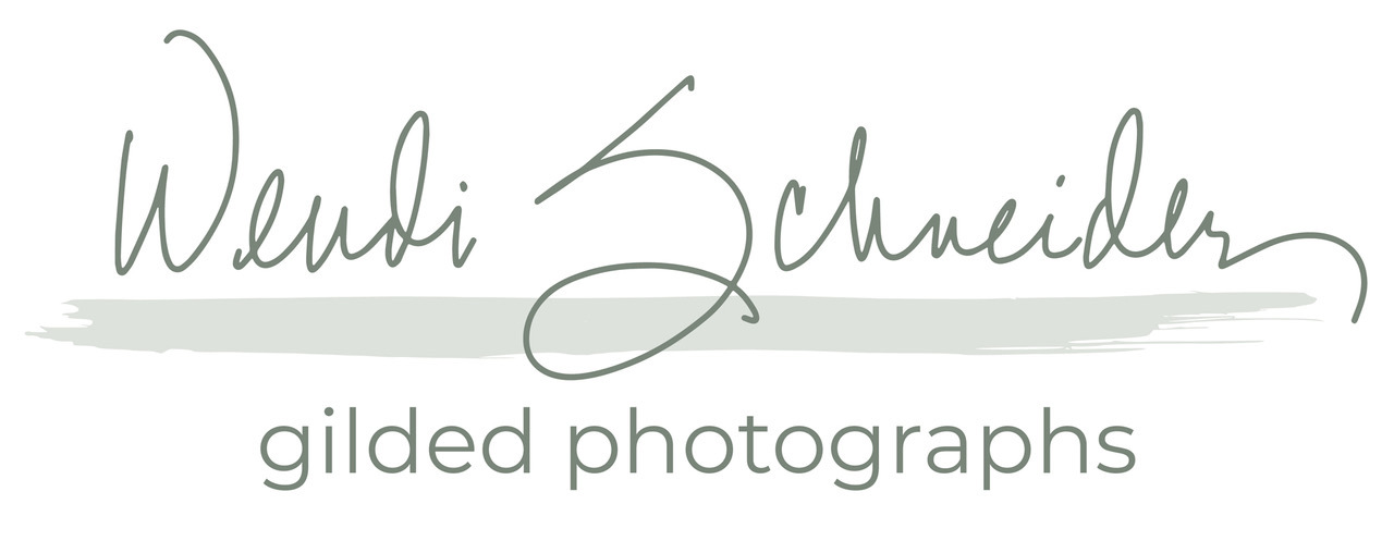 Wendi Schneider Fine Art