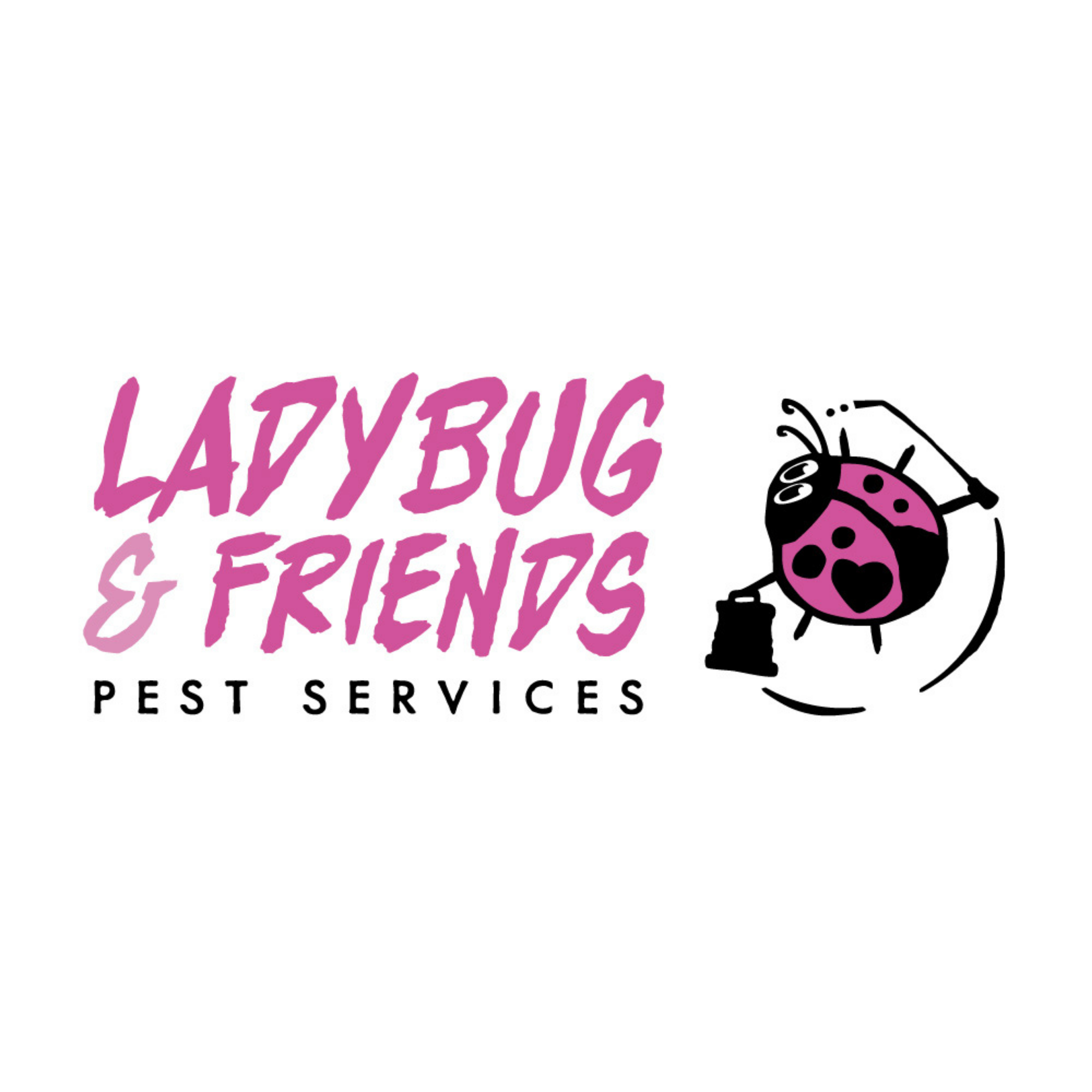 Ladybug & Friends