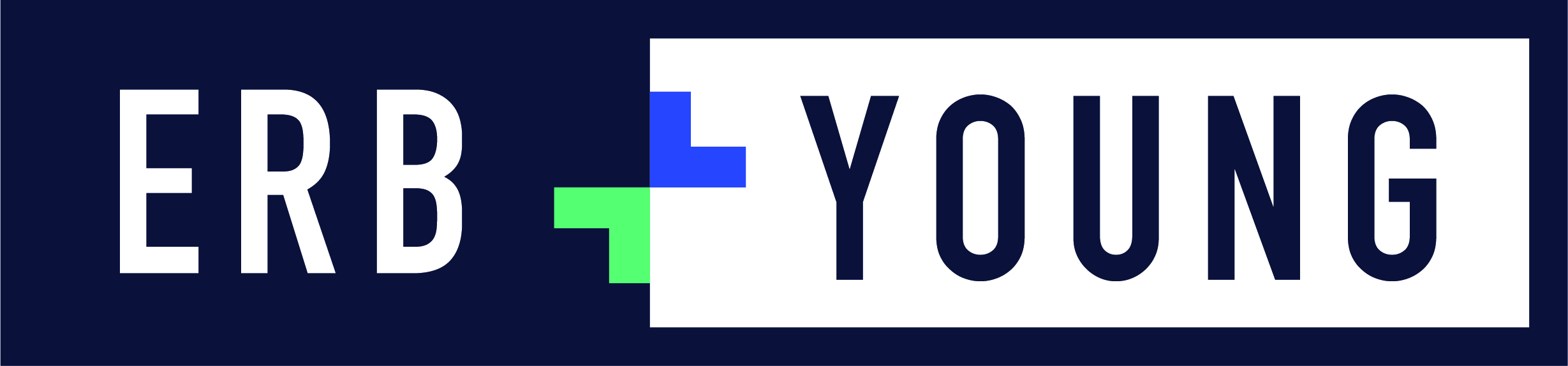 Erb and Young Insurance