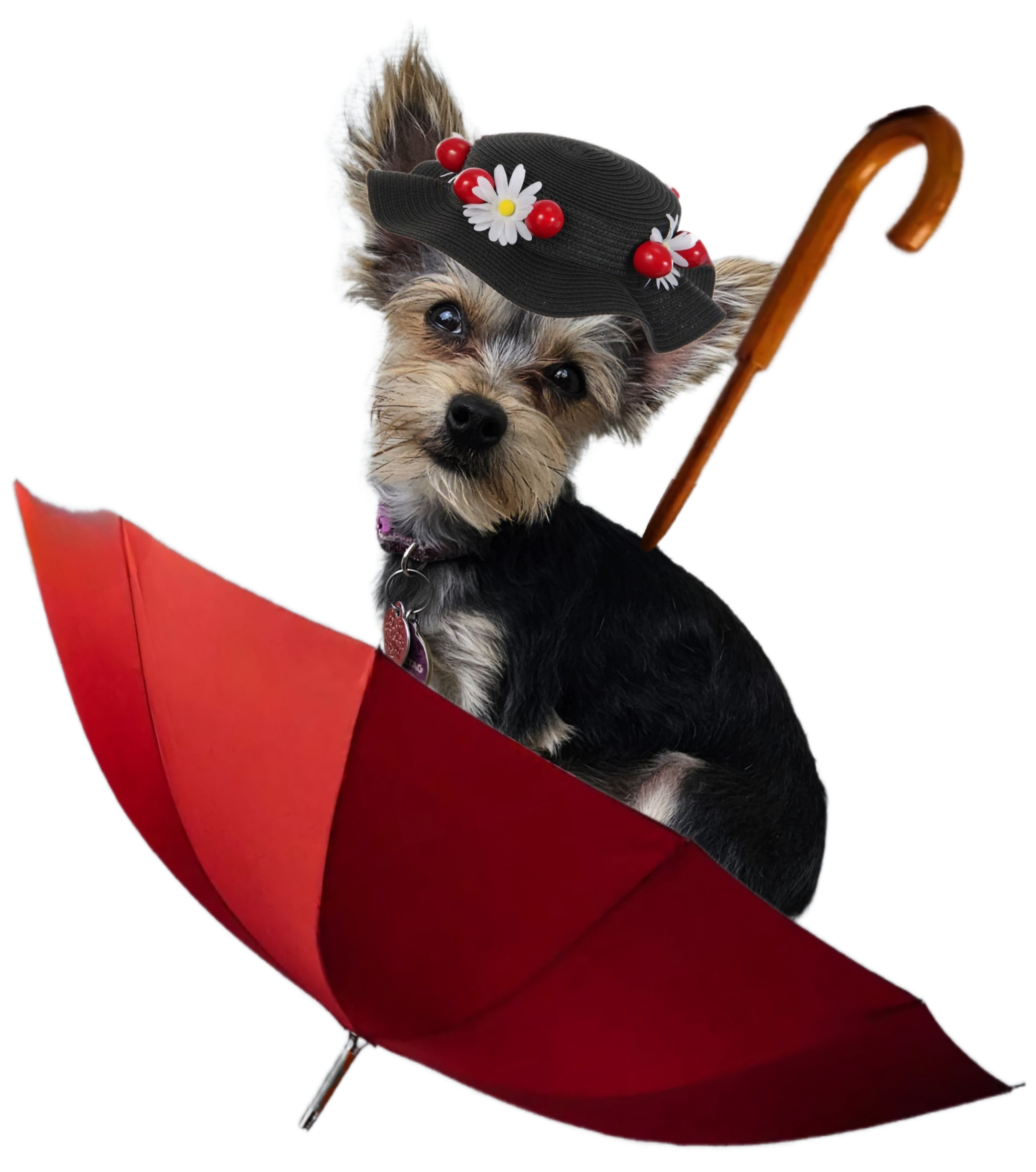 Mary Puppins, LLC