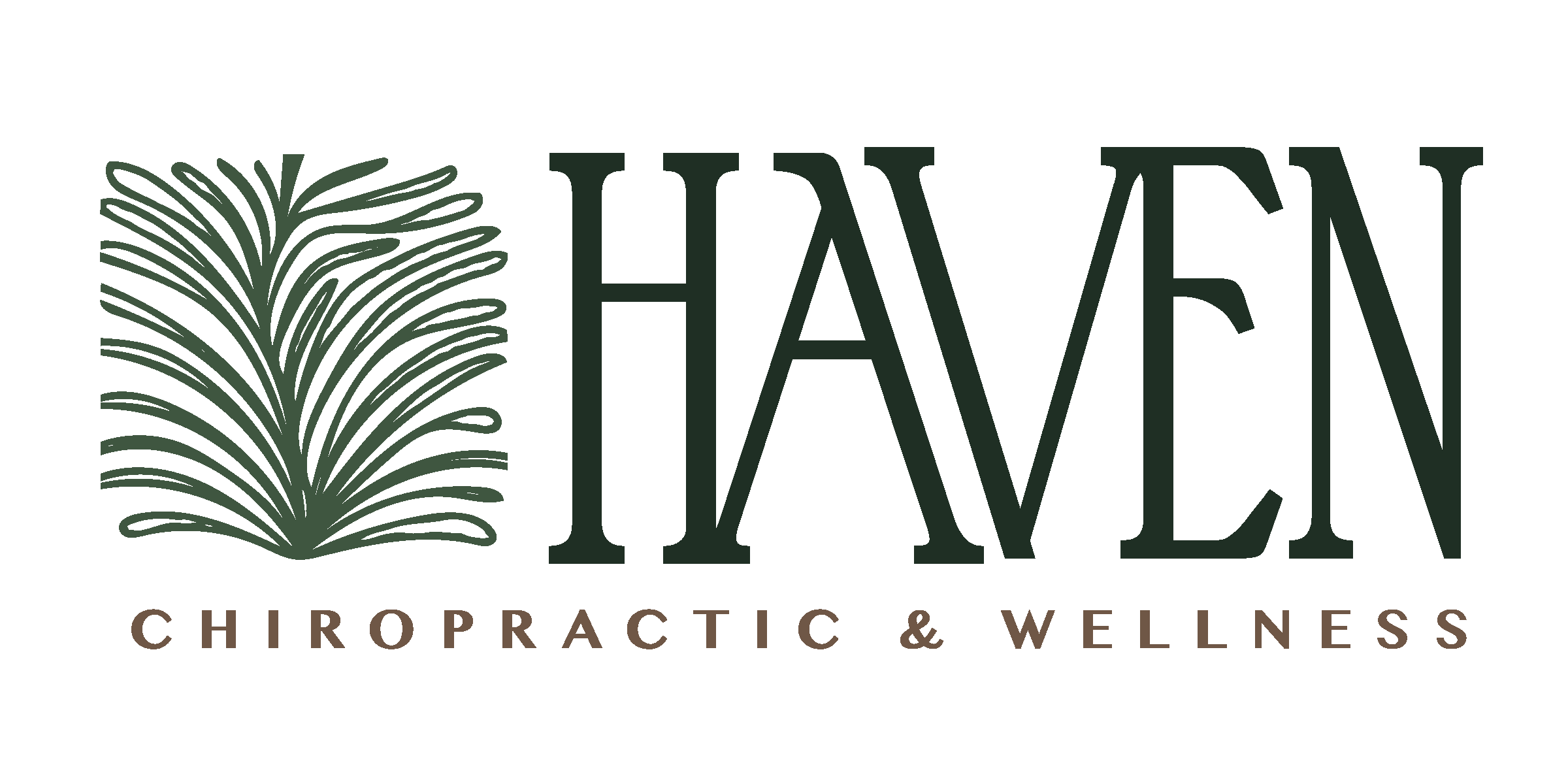 Haven Chiropractic & Wellness
