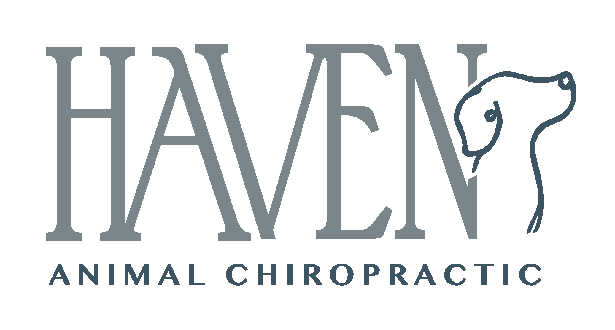 Haven Animal Chiropractic