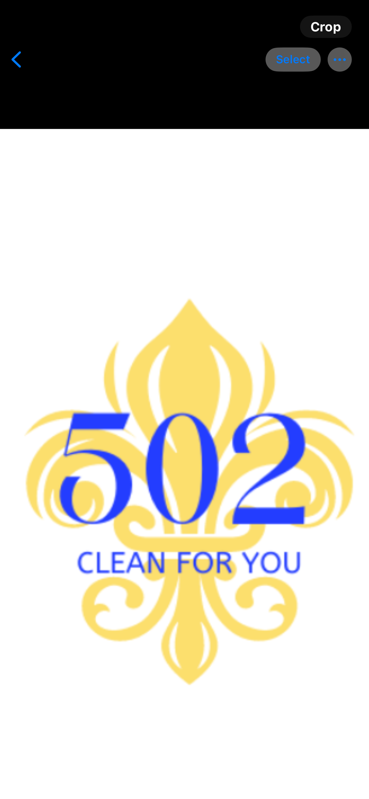 502 Clean For You