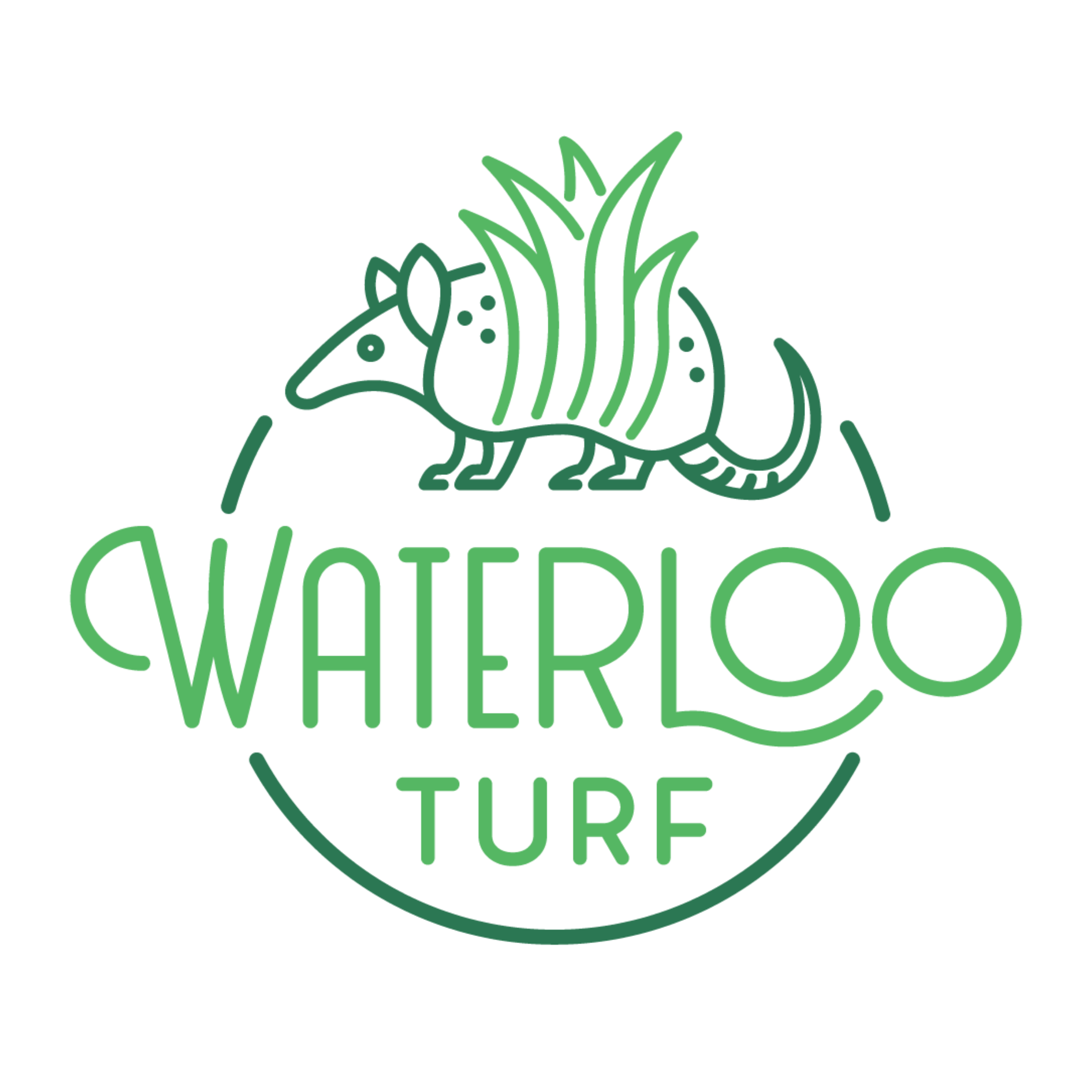 Waterloo Turf Saint Augustine