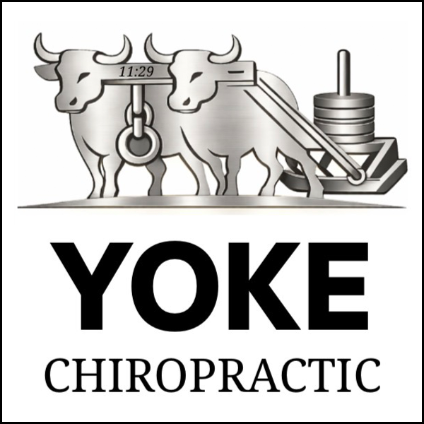 Yoke Chiropractic