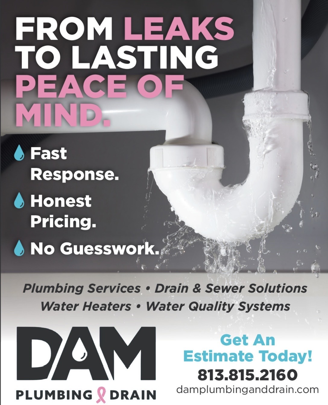 Dam Plumbing and Drain