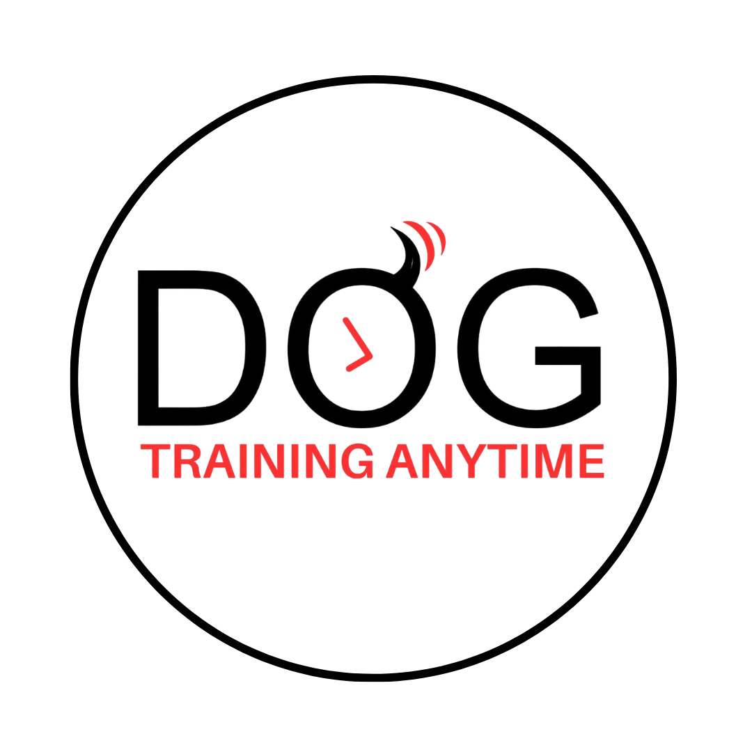 DOG TRAINING ANYTIME