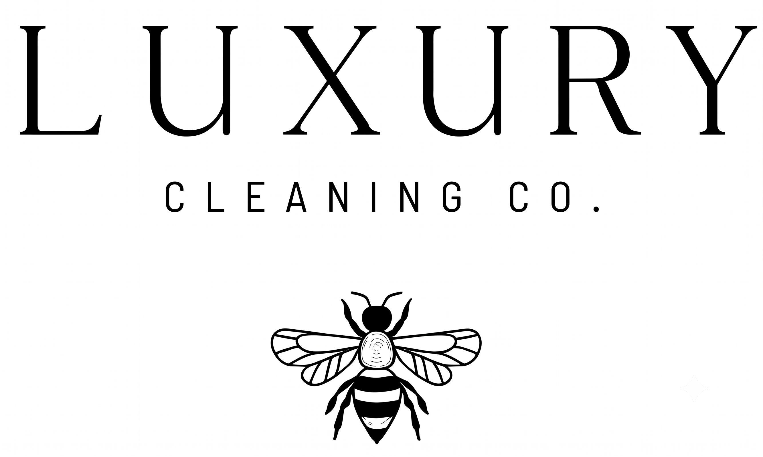 Luxury Cleaning Services