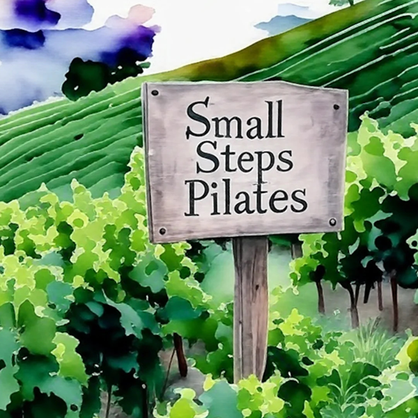 Small Steps Pilates