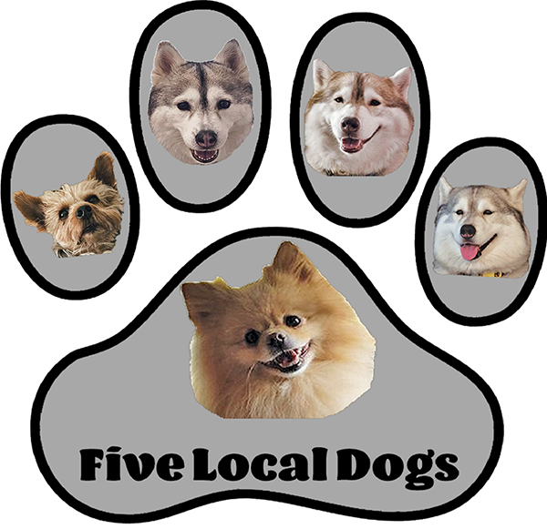 Five Local Dogs