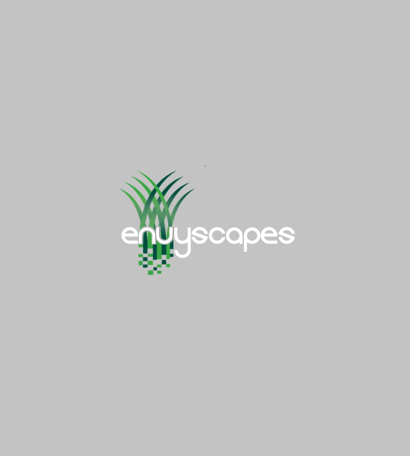Envyscapes