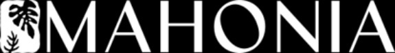 Mahonia Studio