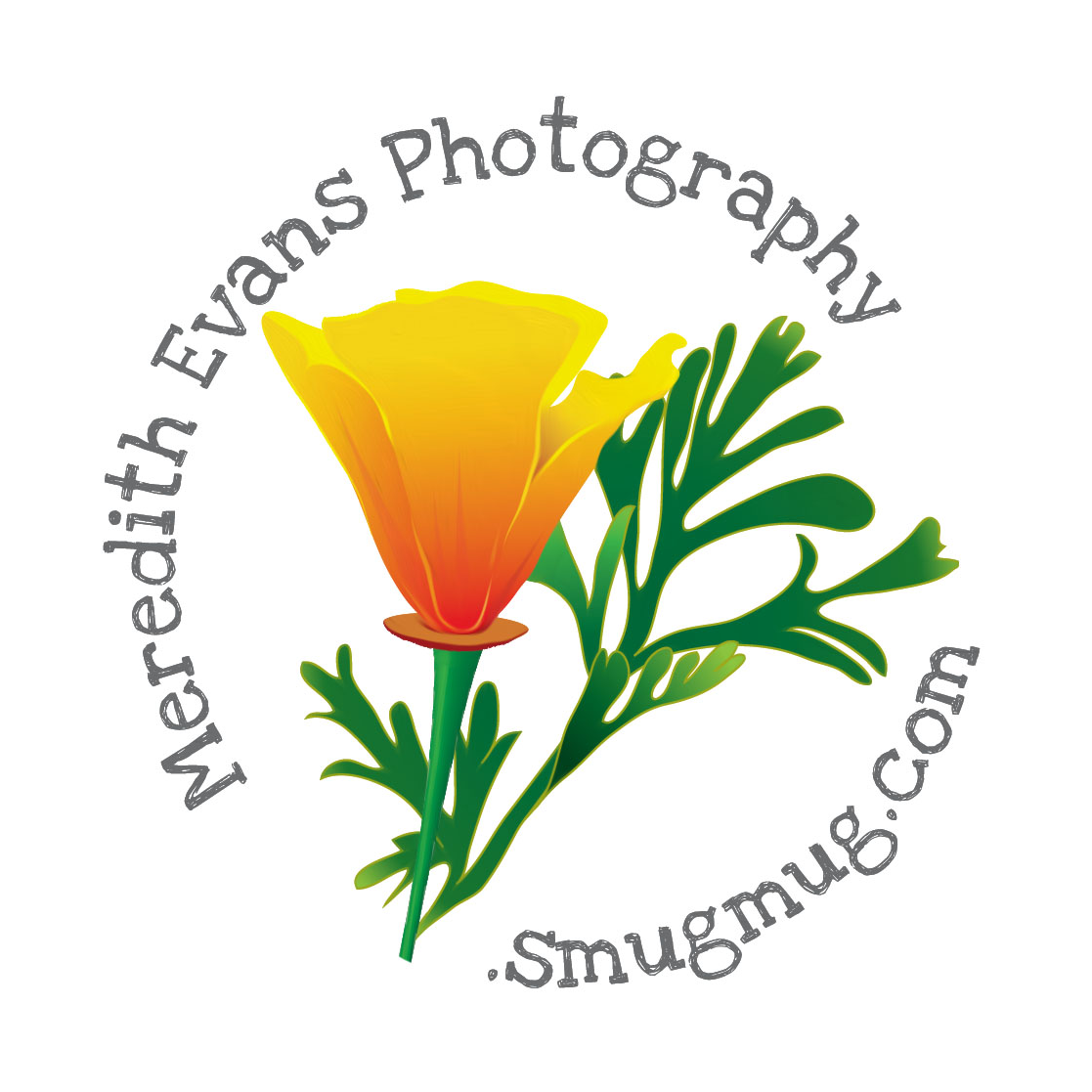 Meredith Evans Photography