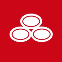 State Farm - David Bruce