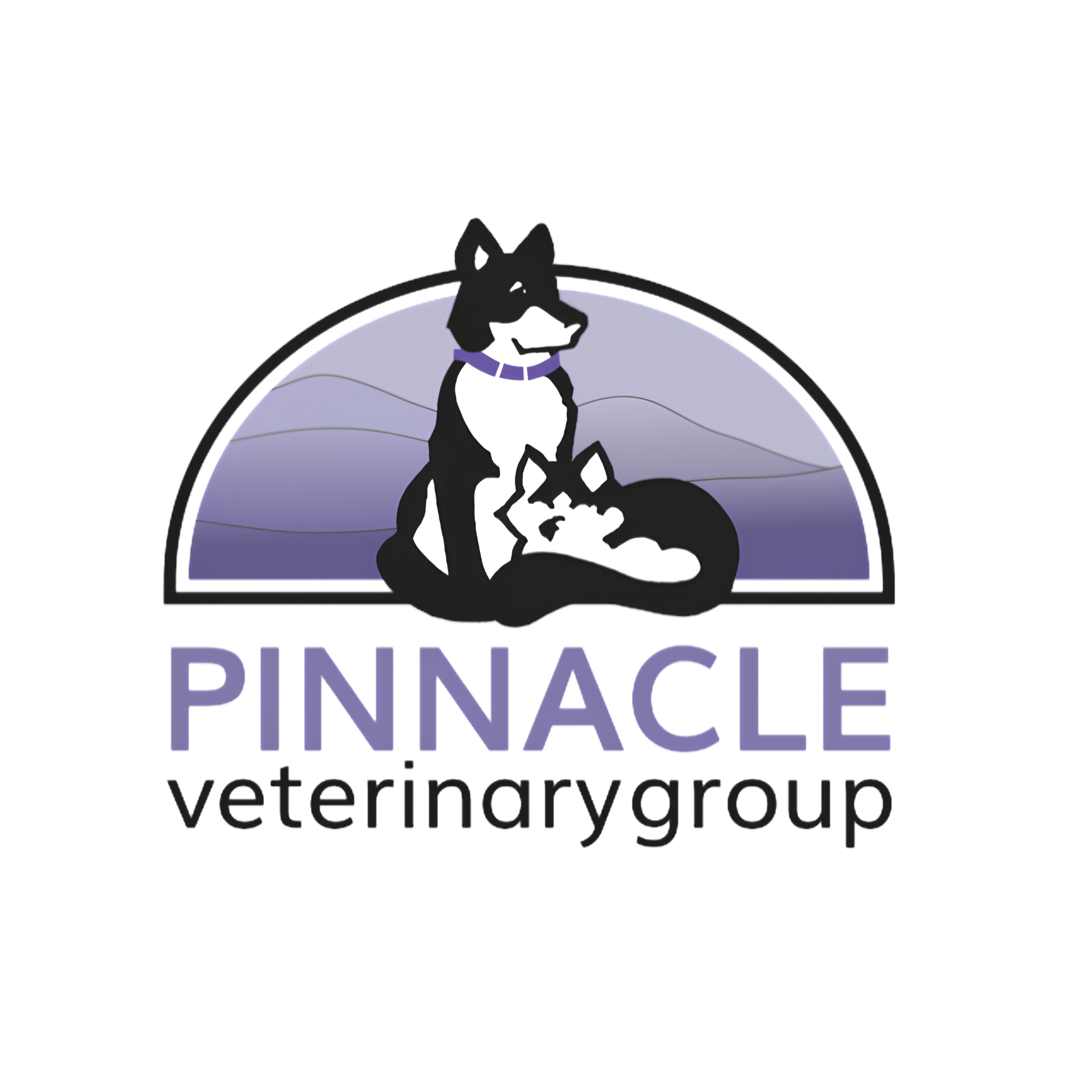 Pinnacle Veterinary Group