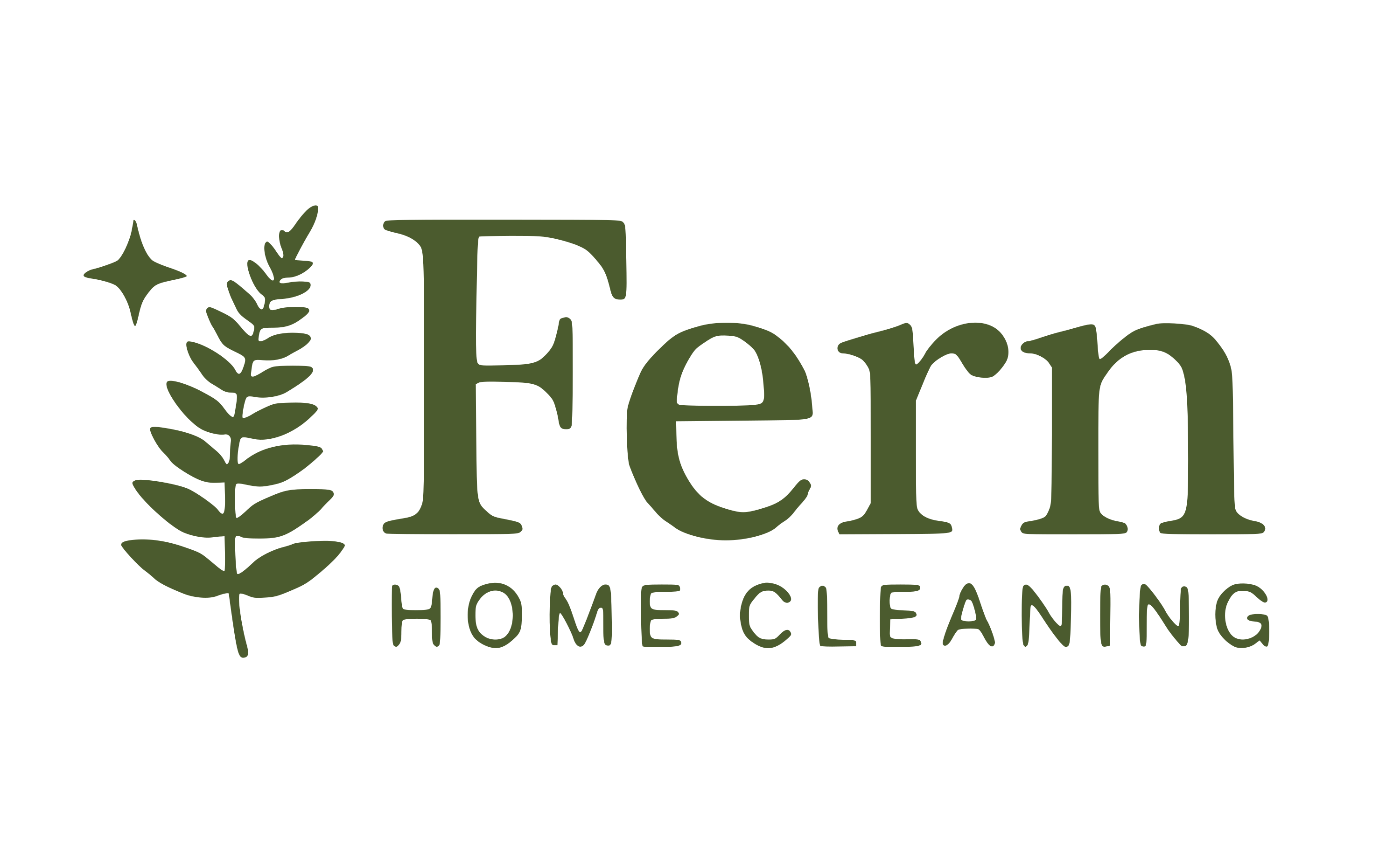 Fern Home Cleaning