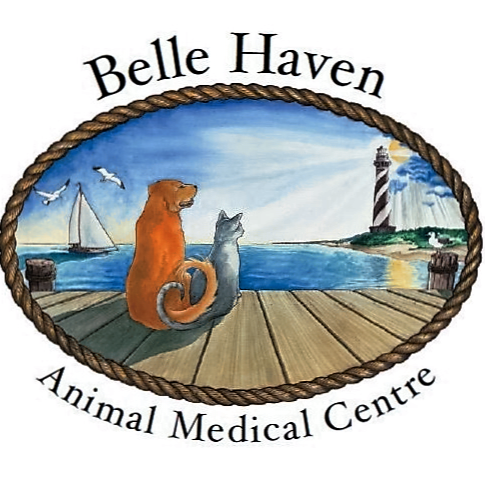 Belle Haven Animal Medical Centre