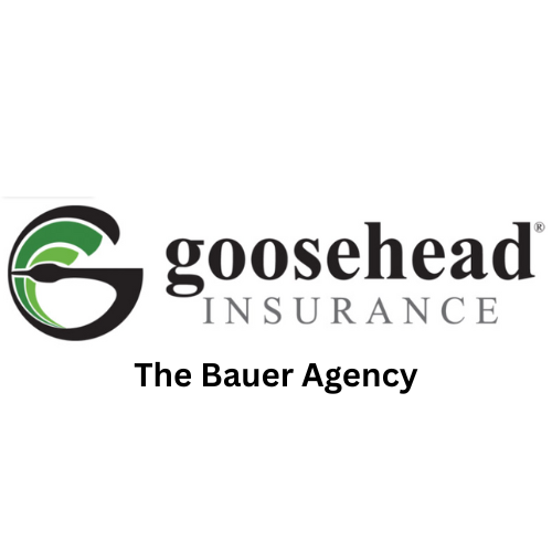 The Bauer Agency